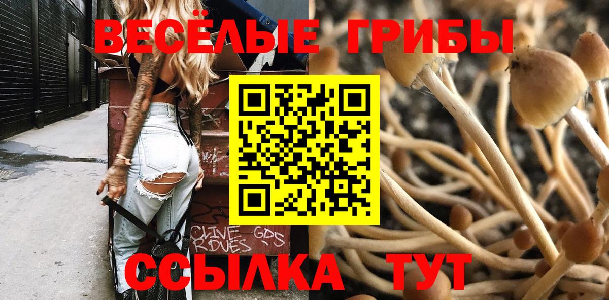 Галлюциногенные грибы мицелий  Вход с VPN  купить   Галлюциногенные грибы мухоморы  Серов 